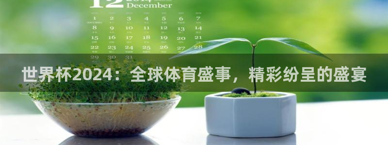 2026世界杯官网：世界杯2024：全球体育盛事，精彩纷呈的盛宴