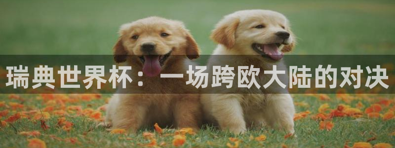 预选赛世界杯：瑞典世界杯：一场跨欧大陆的对决