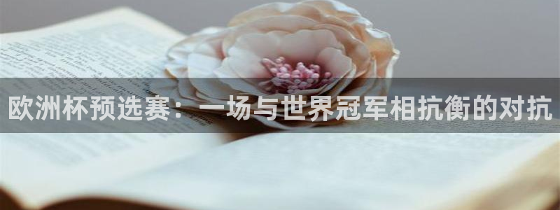 世界杯足球直播：欧洲杯预选赛：一场与世界冠军相抗衡的对抗
