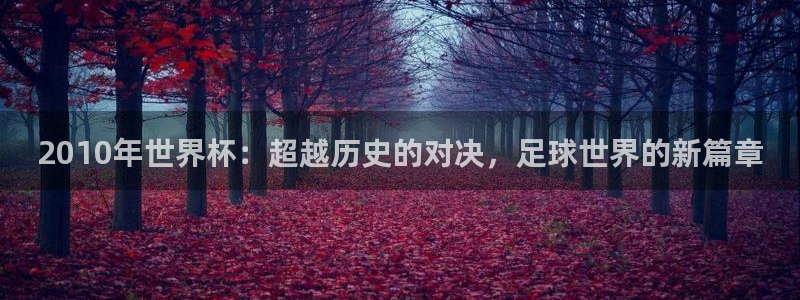 亚洲区世界杯预选赛：2010年世界杯：超越历史的对决，足球世界的新篇章