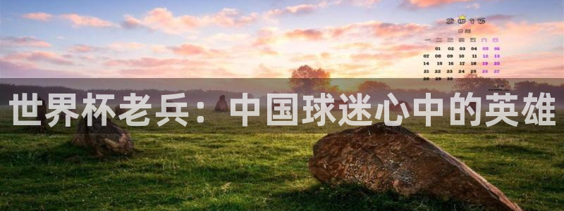 免费足球比赛直播高清：世界杯老兵：中国球迷心中的英雄