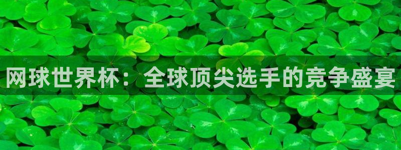 欧洲世界杯预选赛：网球世界杯：全球顶尖选手的竞争盛宴