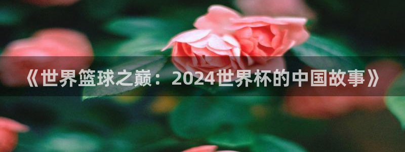 世界杯今年：《世界篮球之巅：2024世界杯的中国故事》