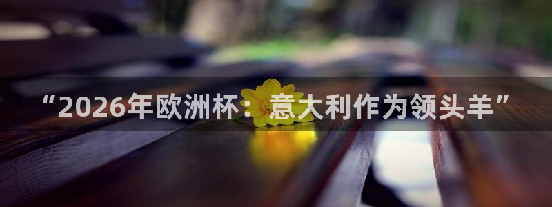英足总杯直播：“2026年欧洲杯：意大利作为领头羊”