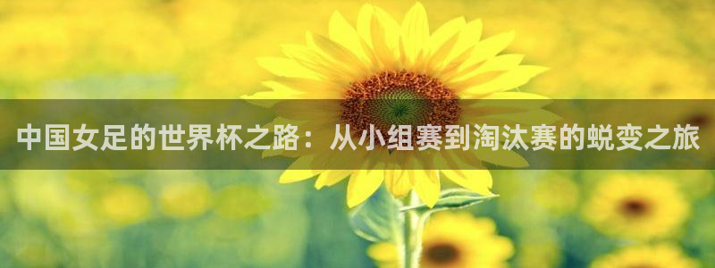 免费足球比赛直播高清：中国女足的世界杯之路：从小组赛到淘汰赛的蜕变之旅