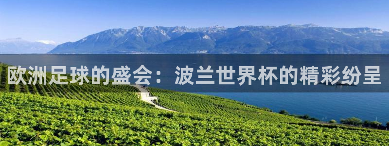 世界杯直播网站：欧洲足球的盛会：波兰世界杯的精彩纷呈