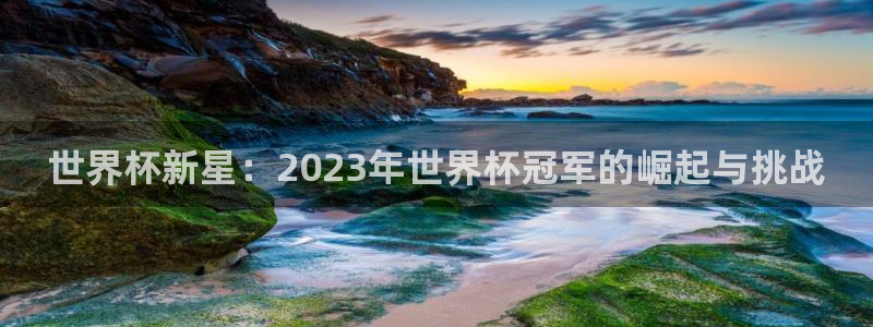 英格兰联赛杯直播：世界杯新星：2023年世界杯冠军的崛起与挑战