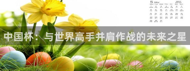 2026世界杯赛程时间表最新：中国杯：与世界高手并肩作战的未来之星